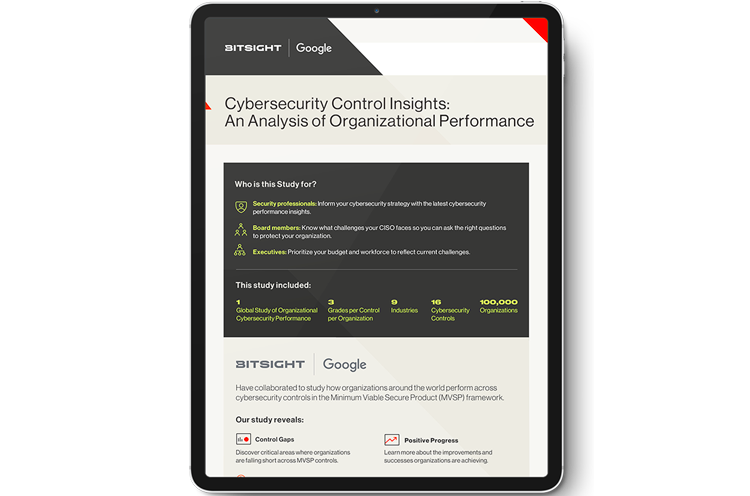 google bitsight research infographic